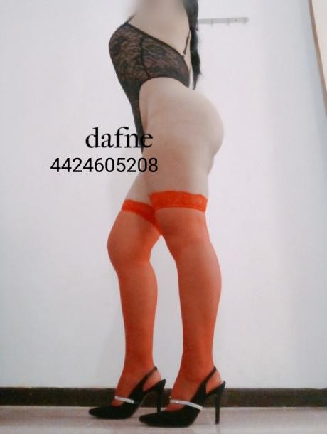 Nena caliente y cachonda ven a mi casa cel 4424605208